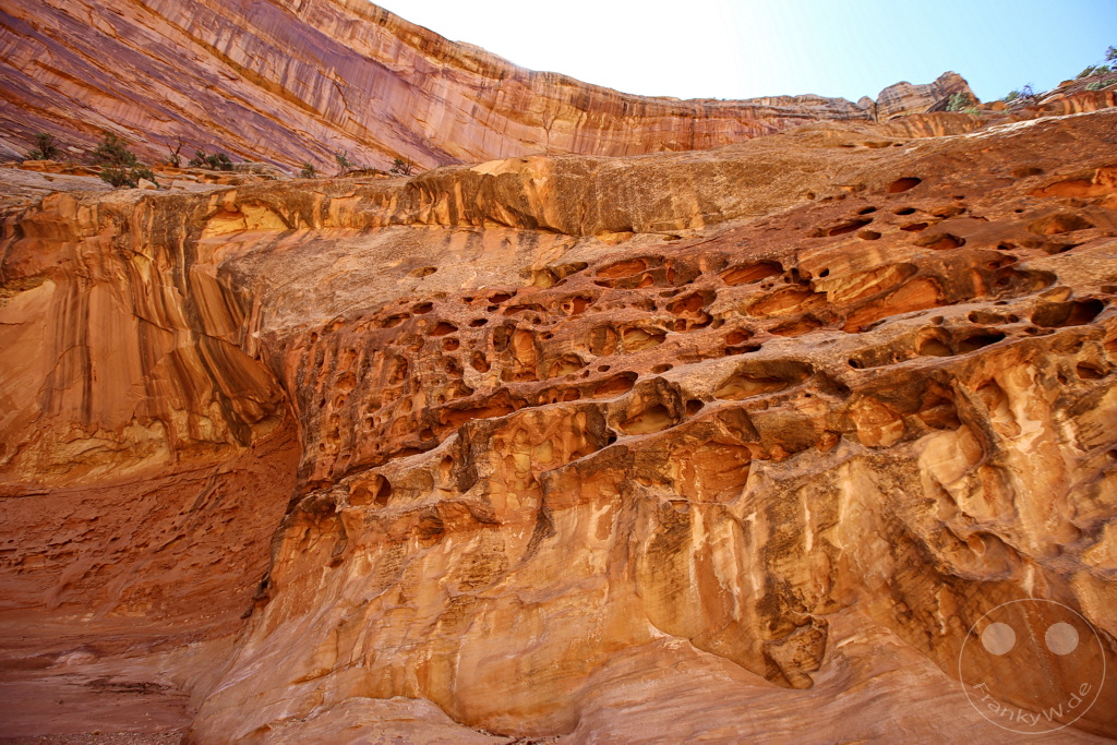 Utah - Capitol Gorge