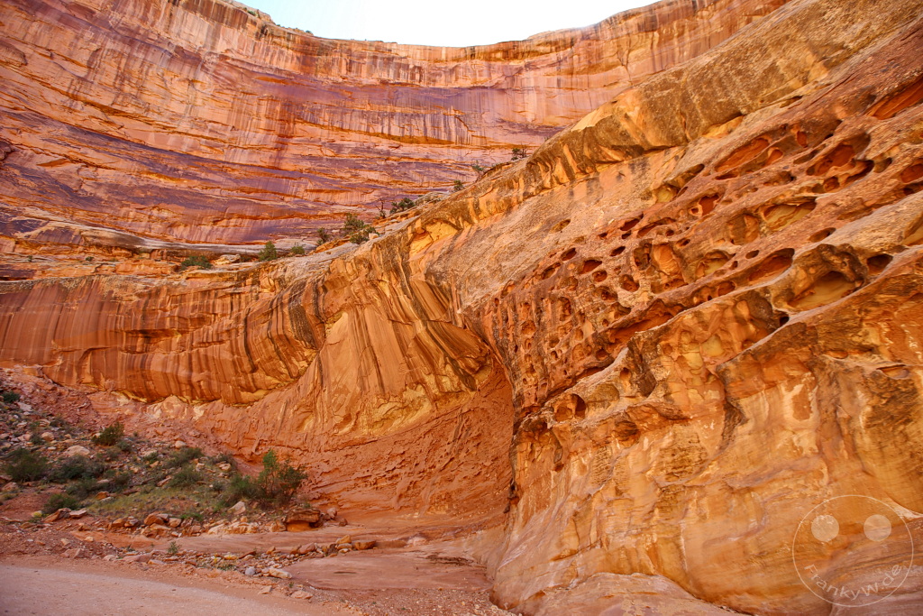 Utah - Capitol Gorge