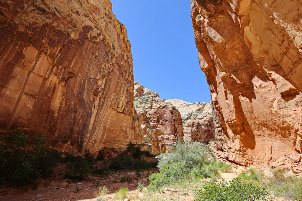 Utah - Capitol Gorge Trailhead