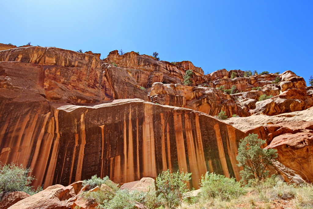 Utah - Capitol Gorge