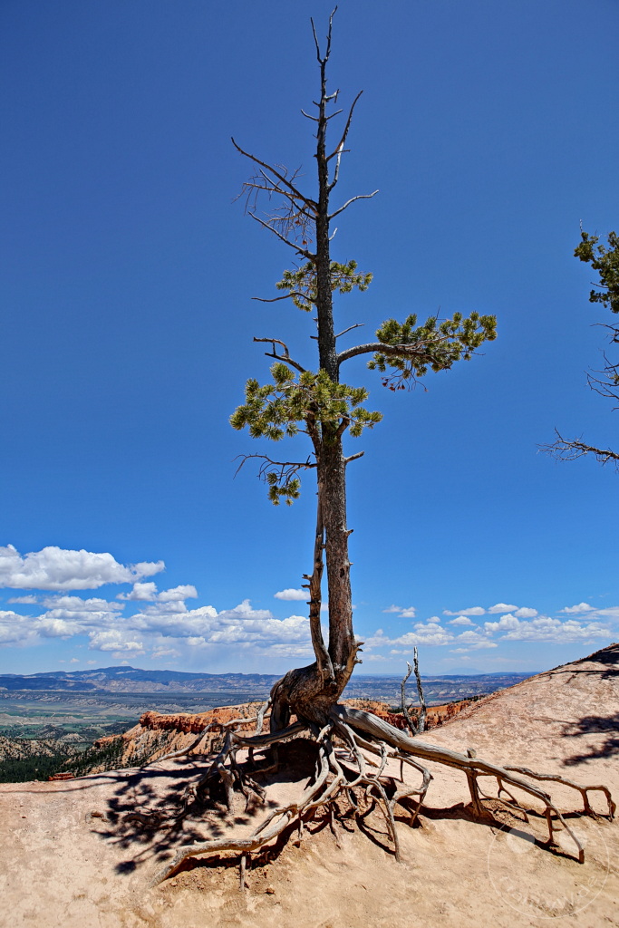 Utah - Bryce Canyon National Park