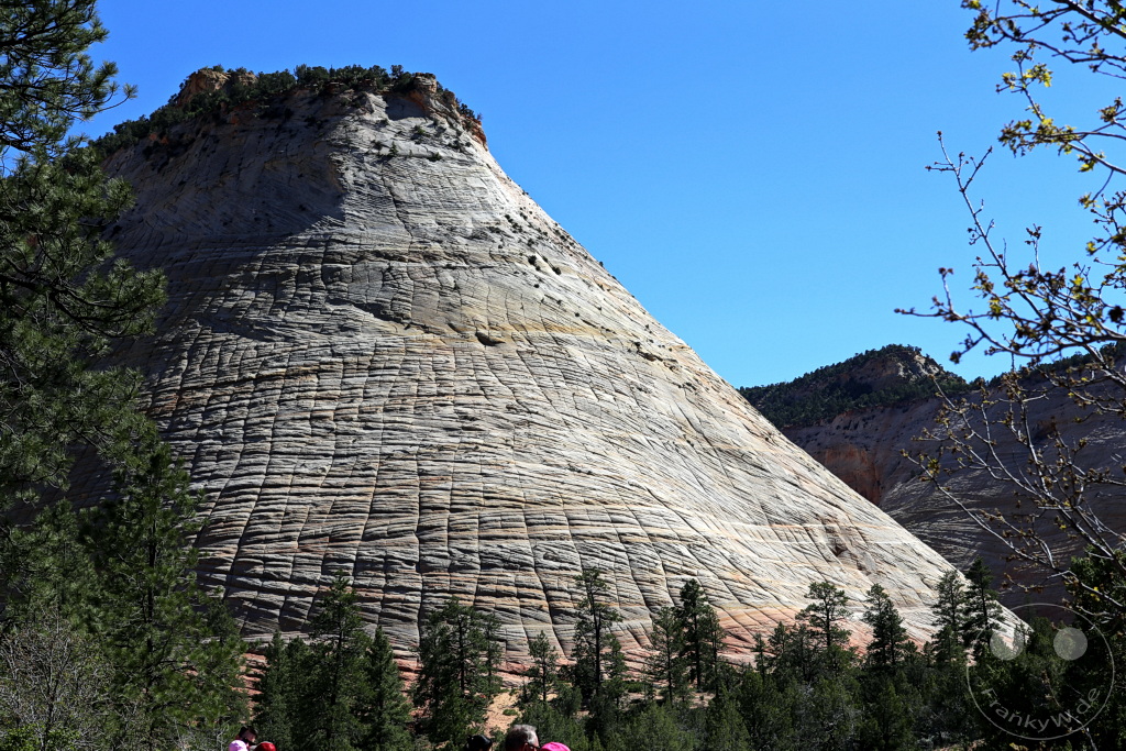 Utah - Zion Nationalpark