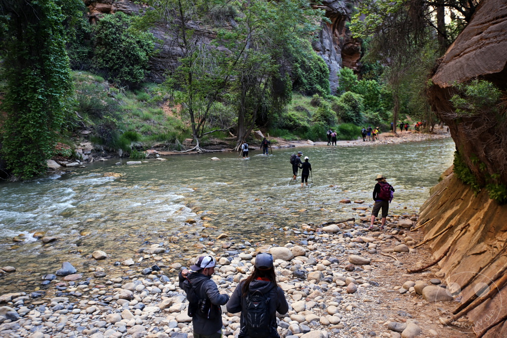 Utah - Zion Nationalpark