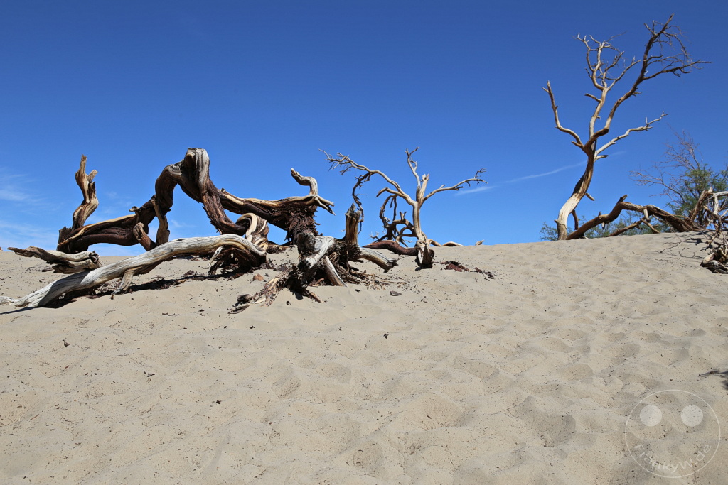 Kalifornien - Death Valley National Park