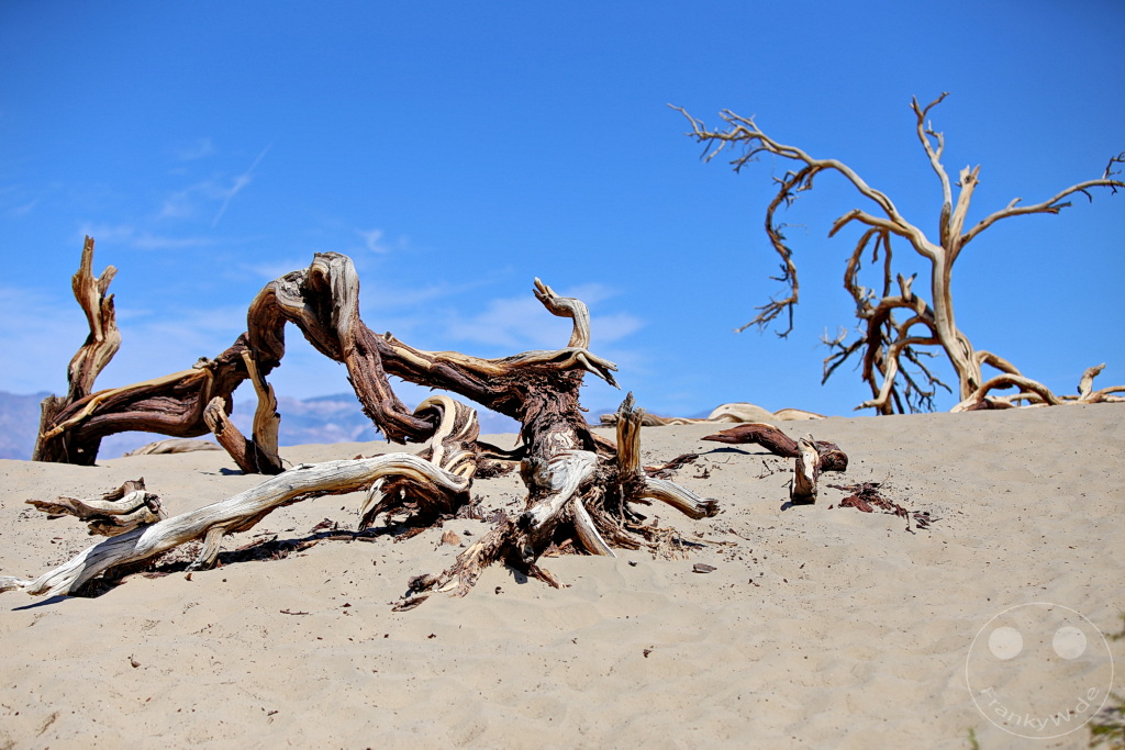Kalifornien - Death Valley National Park