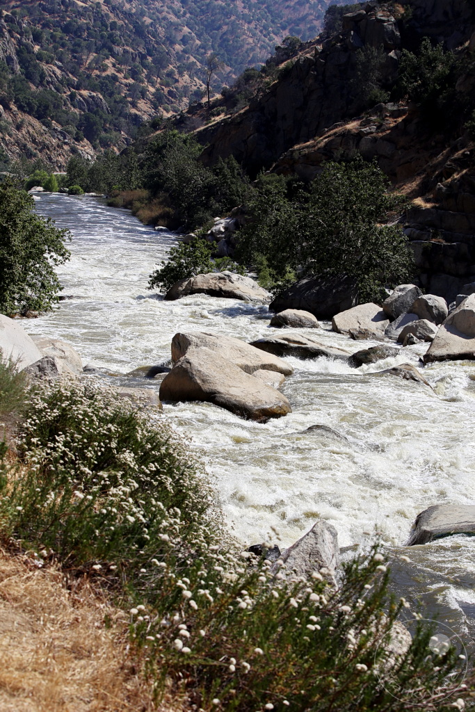 Kalifornien - Saturday Spring Creek - Kern River