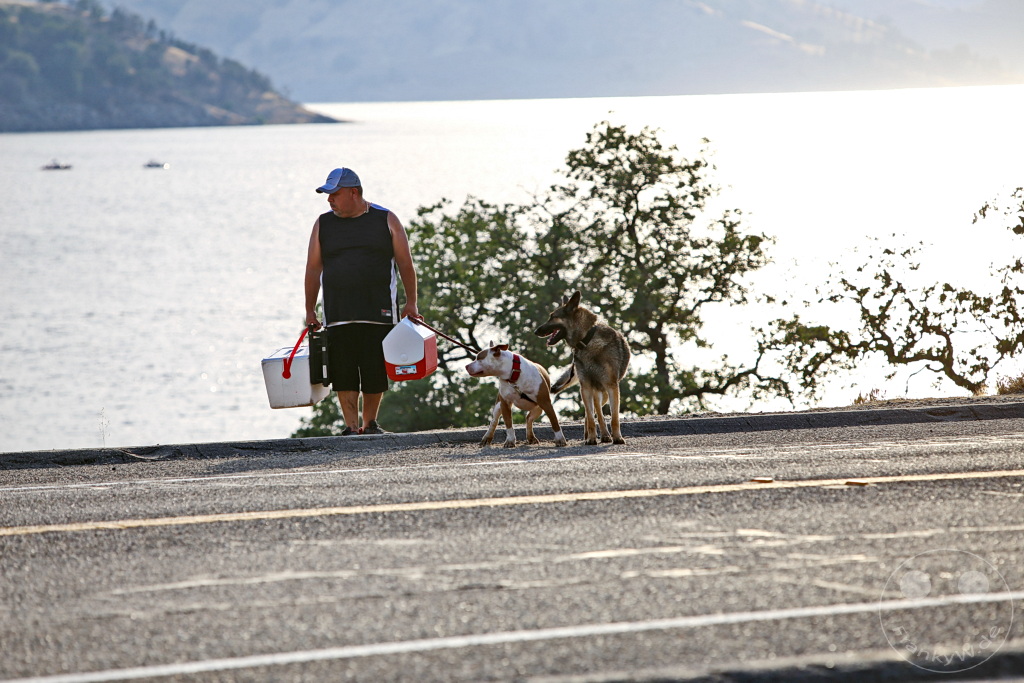 Kalifornien - Lake Kaweah