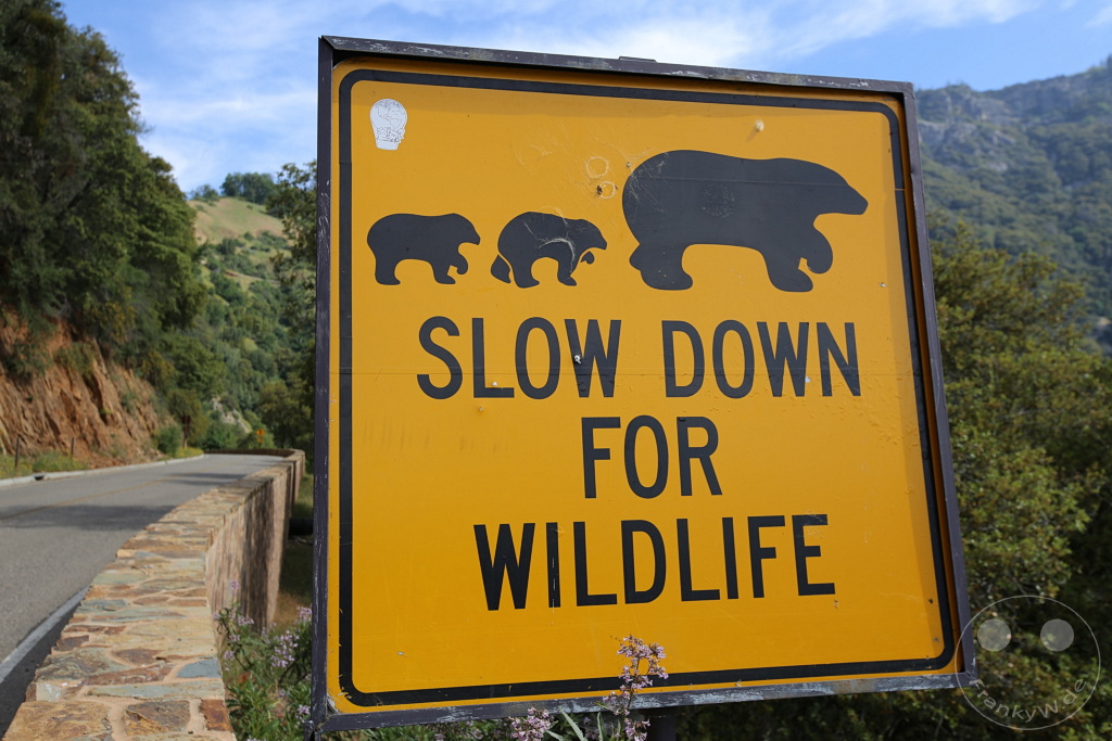Kalifornien - Sequoia National Park