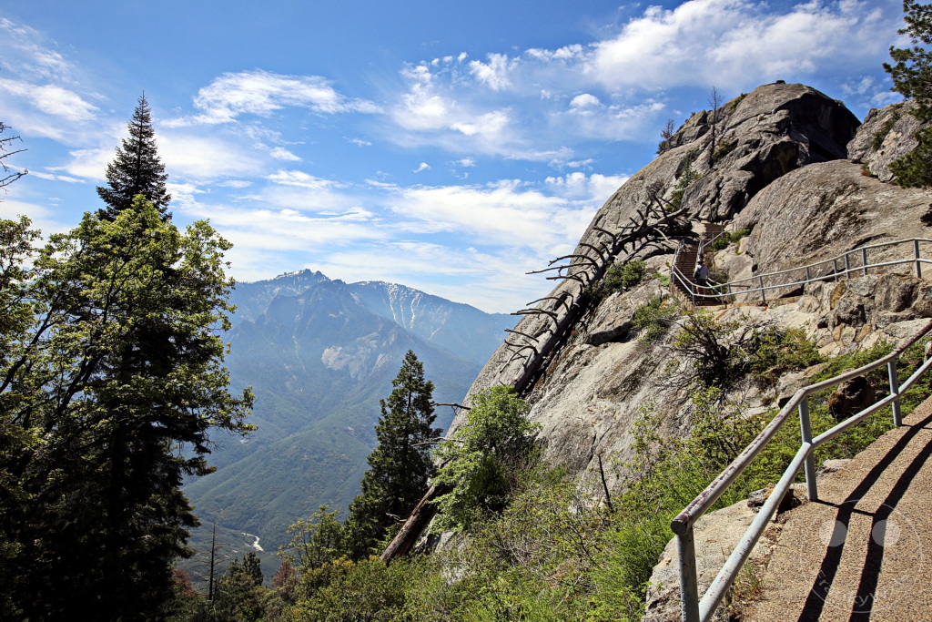 Kalifornien - Sequoia National Park