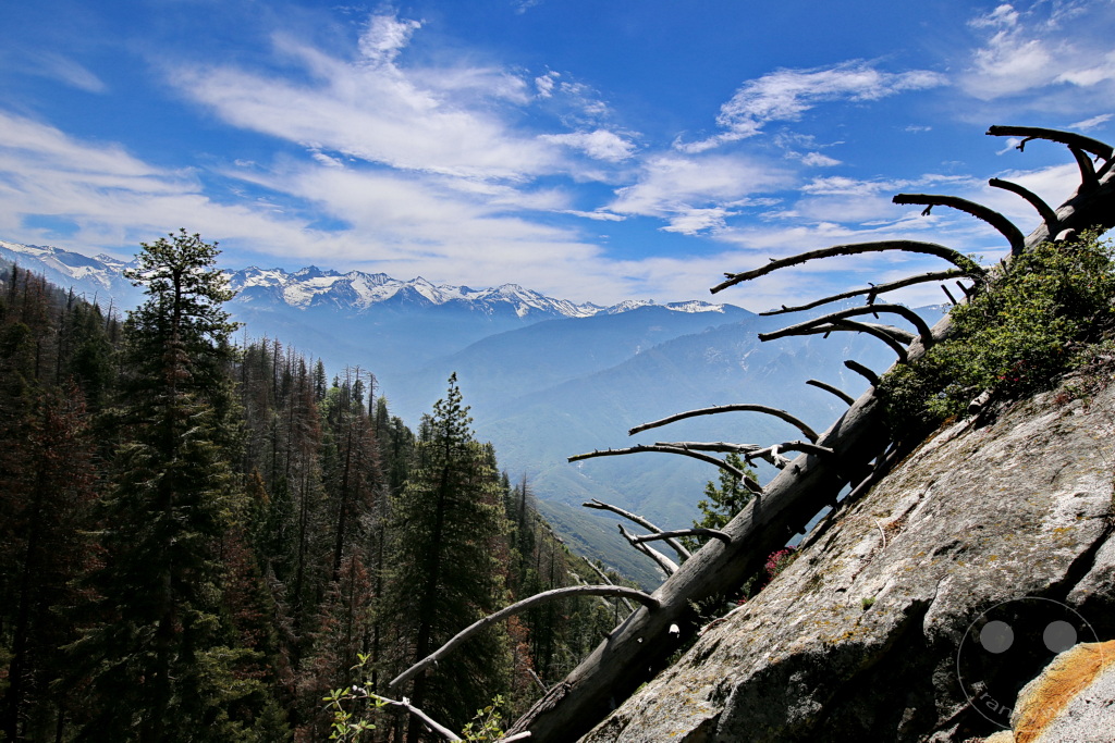 Kalifornien - Sequoia National Park
