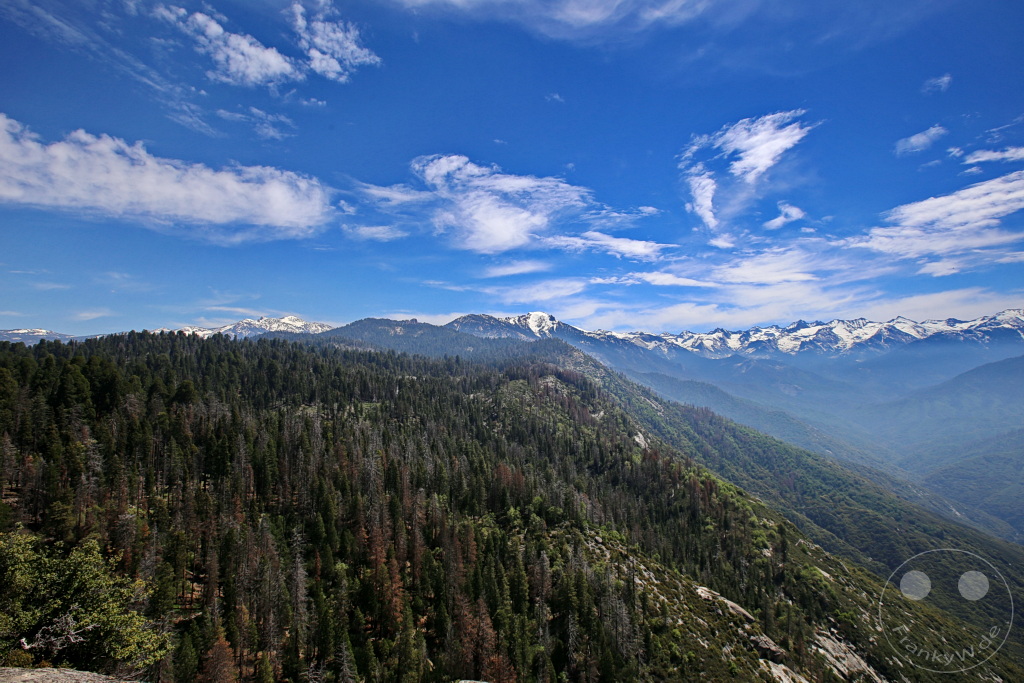 Kalifornien - Sequoia National Park
