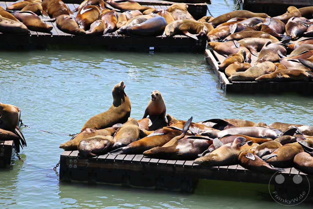 Kalifornien - San Francisco