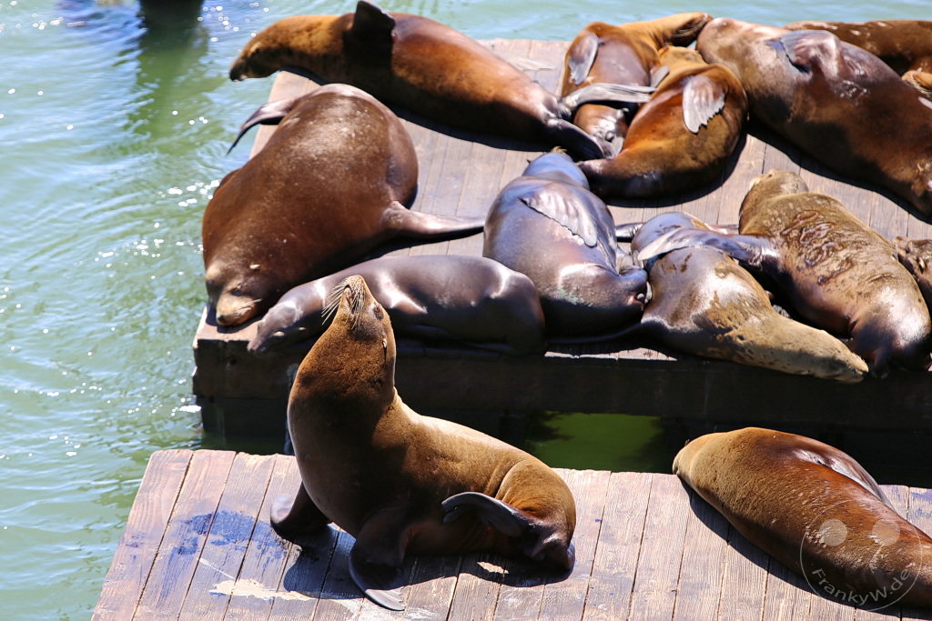 Kalifornien - San Francisco