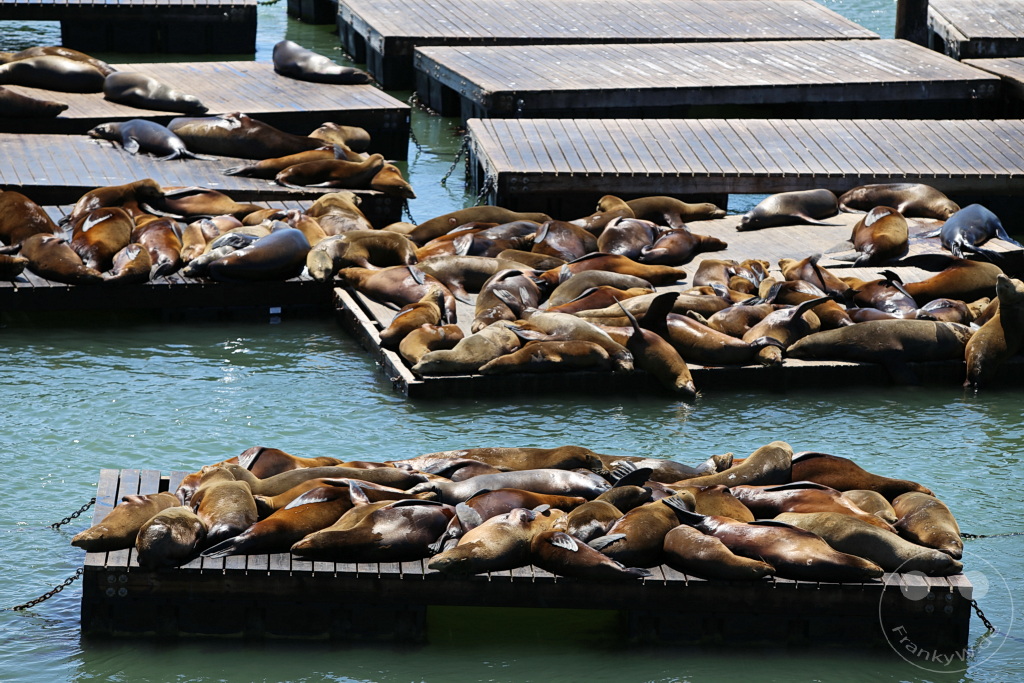 Kalifornien - San Francisco