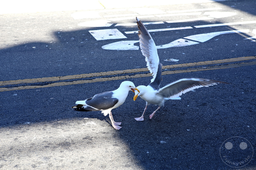 Kalifornien - San Francisco