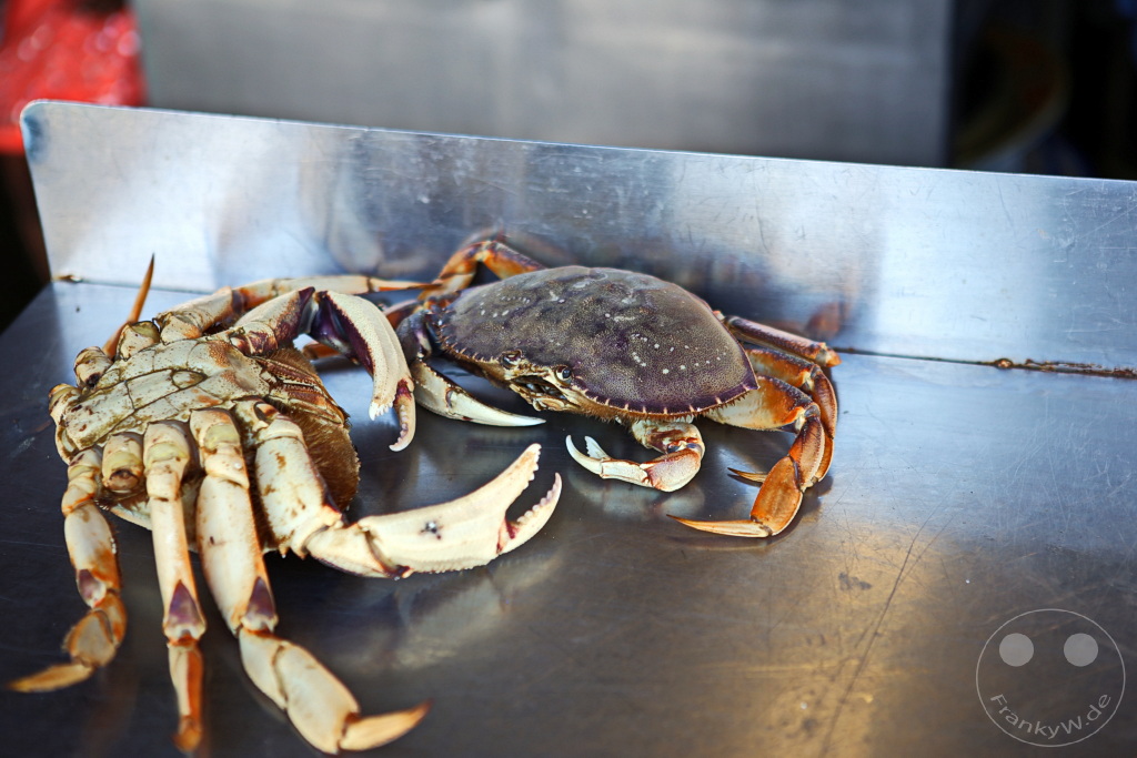 Kalifornien - San Francisco