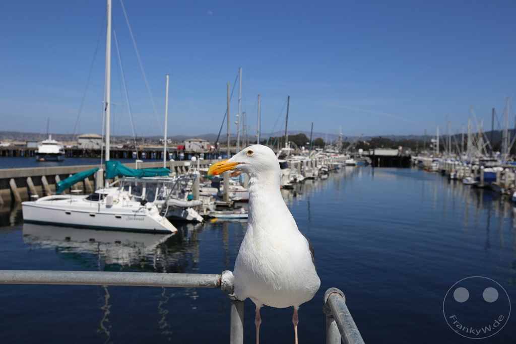 Kalifornien - Monterey - Old Fisherman's Wharf