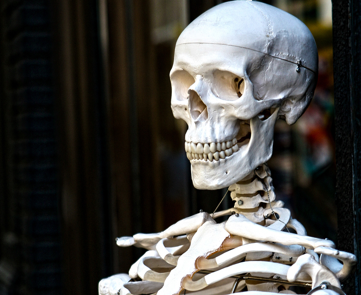 New York - SoHo - Skeleton