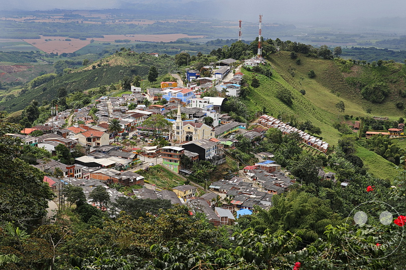 Kolumbien - Kaffeezone - Buenavista