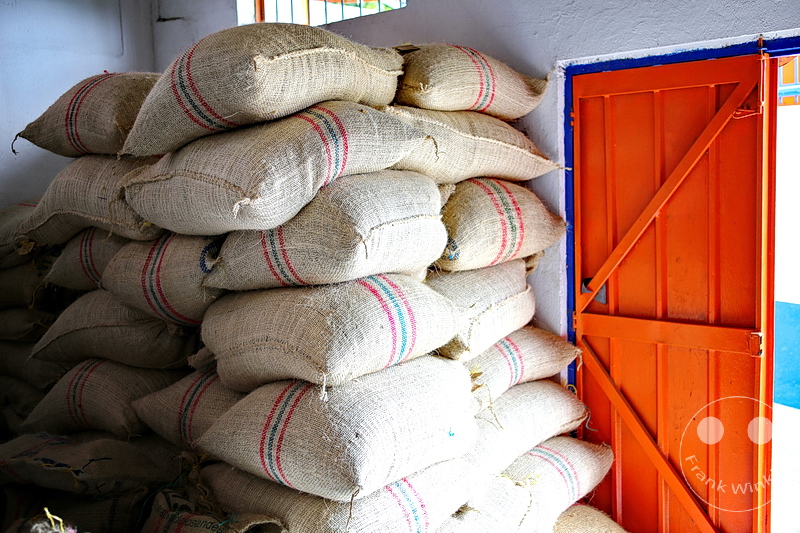 Kolumbien - Kaffeezone - Buenavista - Cafe San Alberto - Kaffeesaecke