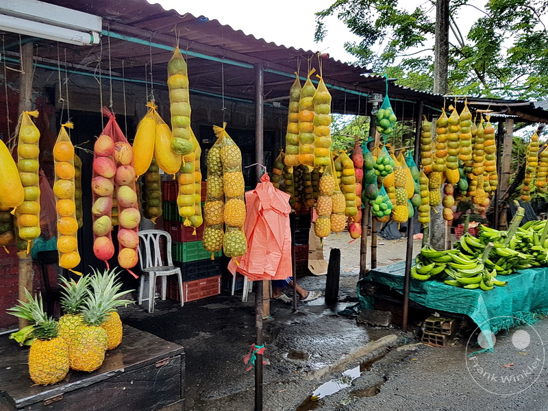 Kolumbien - Kaffeezone - Fruechte - Street food