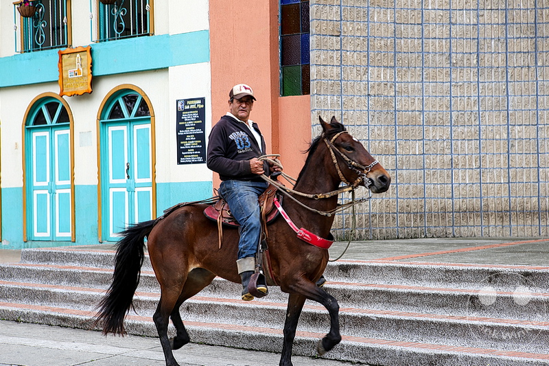 Kolumbien - Kaffeezone - Pijao - Paso Fino