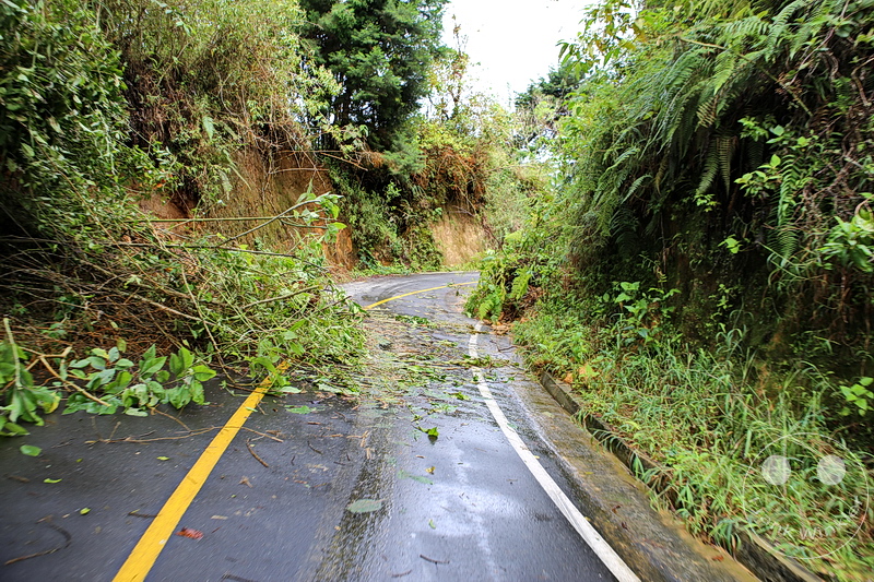 Kolumbien - Kaffeezone - Pijao - Sturmschaden
