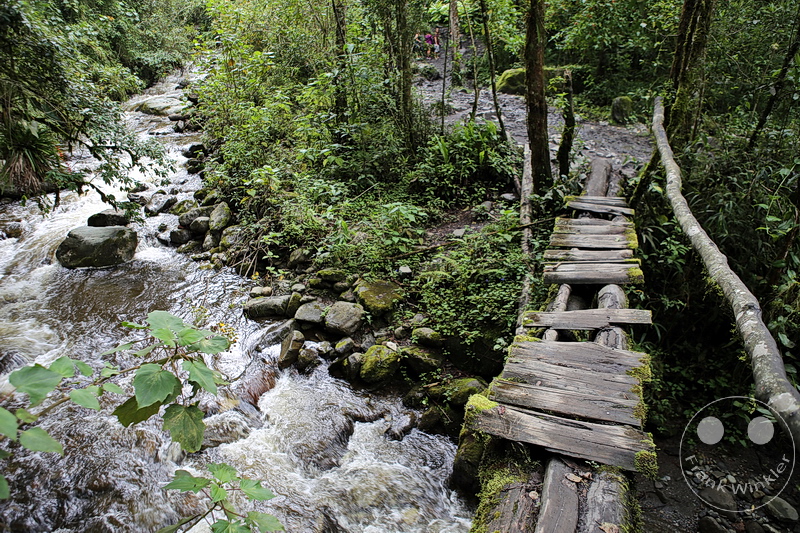 Kolumbien - Kaffeezone - Salento - Nebelwaldgebiet - Parque Nacional de los Nevados