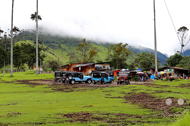 Kolumbien - Kaffeezone - Salento - Wachspalmen - Palma de Cera - Parque Natural Valle de Cocora