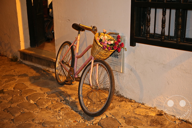 Kolumbien - Villa de Leyva - Fahrrad - Rosen