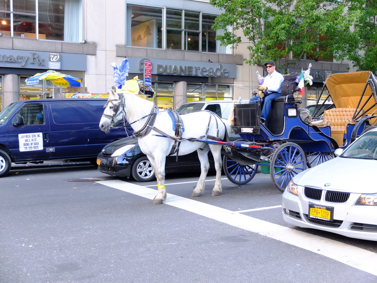 New York - Horse-drawn carriage