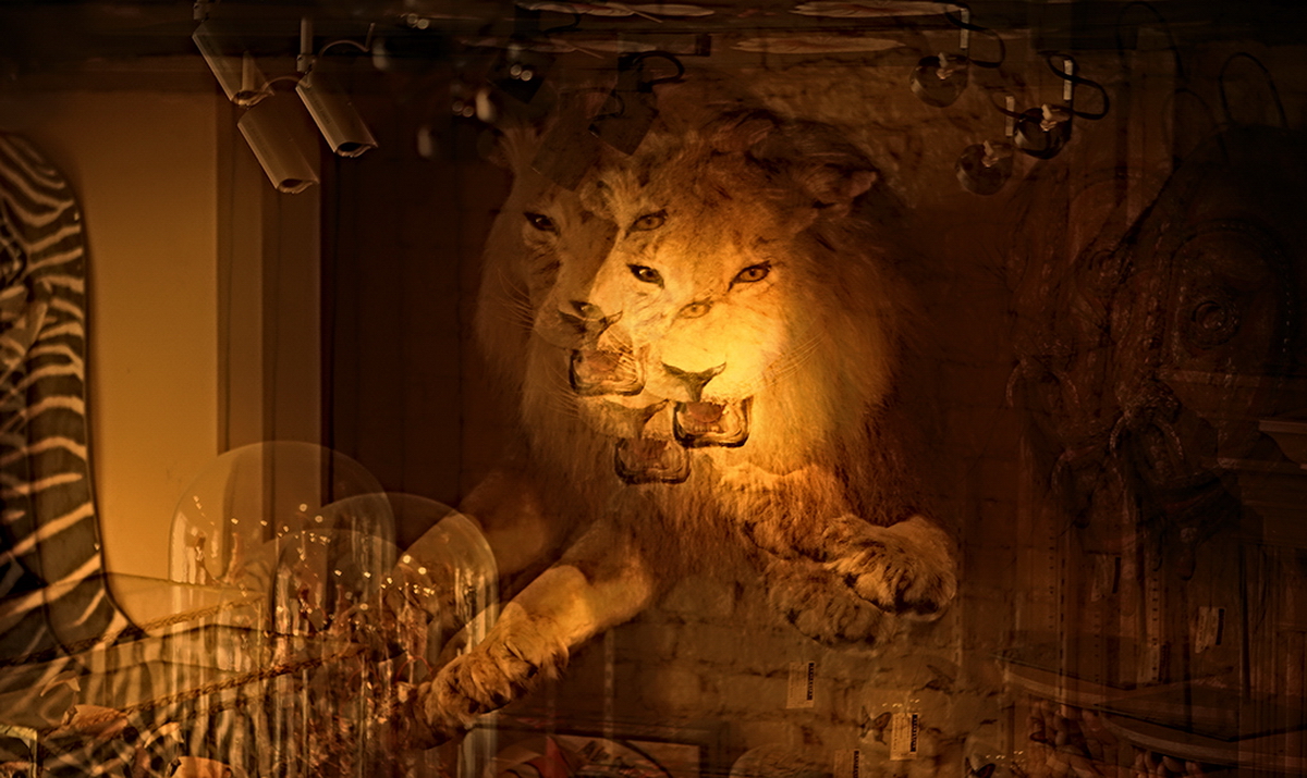 New York - SoHo - Lion