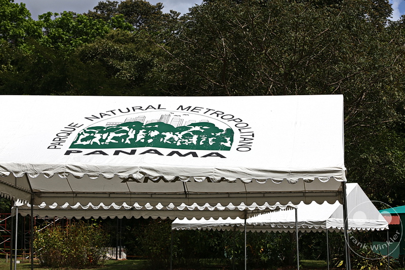 Panama City - Parque Natural Metropolitano de Panama - Metropolitan Natural Park