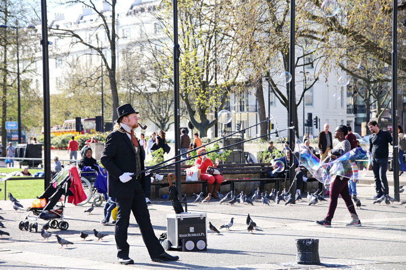 England - London - Hyde Park