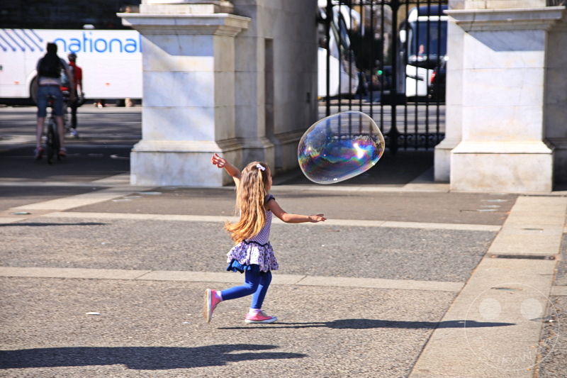 England - London - Hyde Park