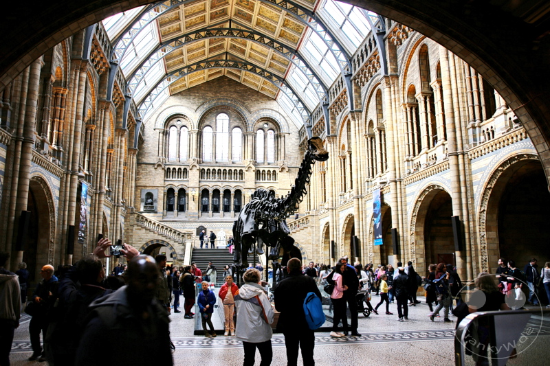 England - London - The Natural History Museum