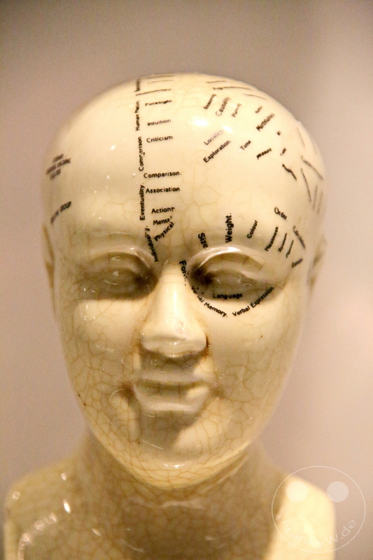 England - London - The Natural History Museum