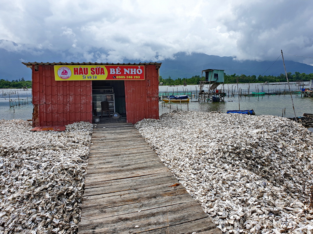 Vietnam - Lap An Lagoon - Oyster farming