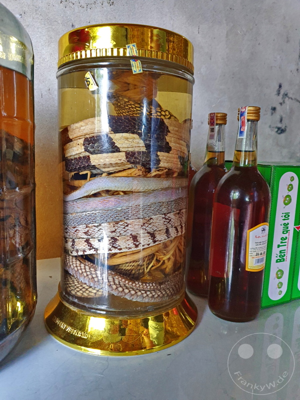 Vietnam - Mekong - Scorpions and snakes pickled in spirits