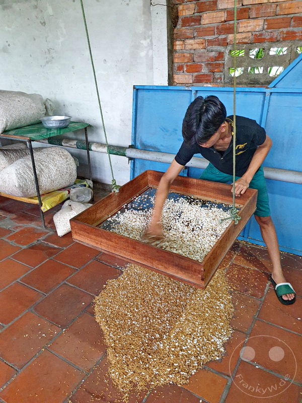 Vietnam - Mekong - Puffed rice production