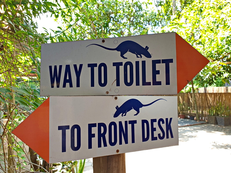 Kambodscha - Siem Reap - Apopo - Rats