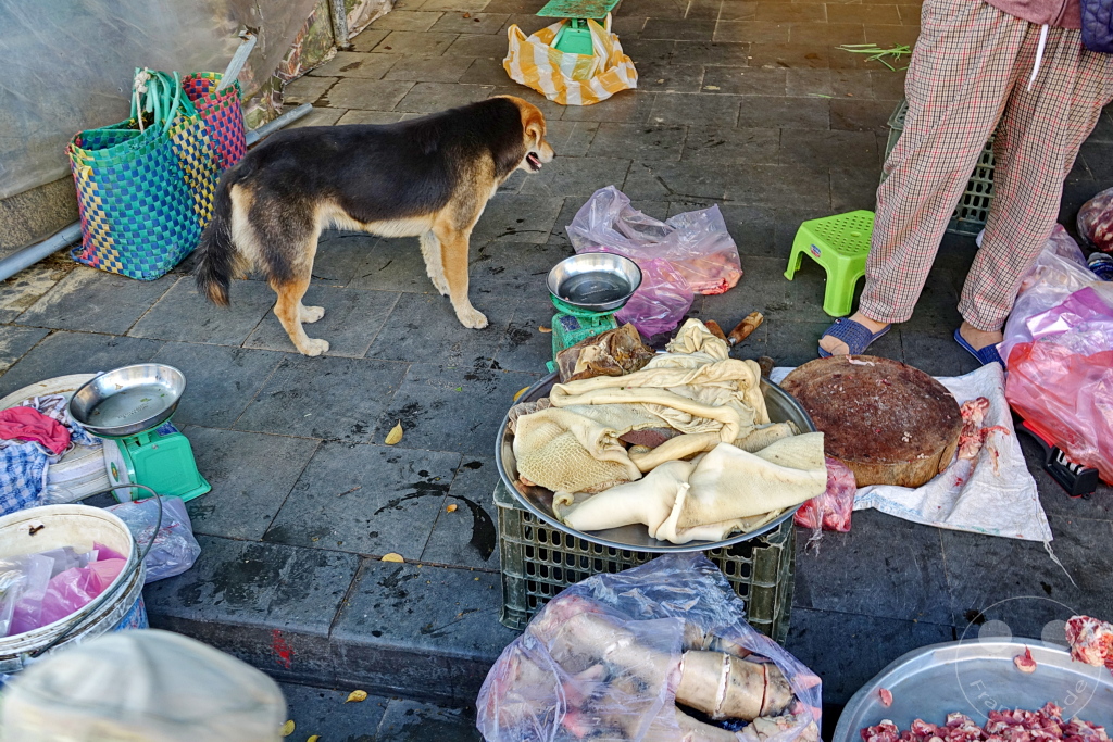 Vietnam - Hoi An- Street Market