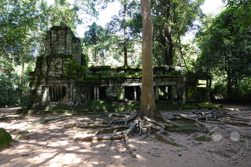 Kambodscha - Siem Reap - Ta Prohm Temple