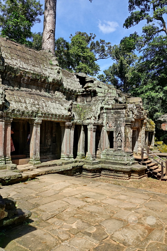 Kambodscha - Siem Reap - Ta Prohm Temple
