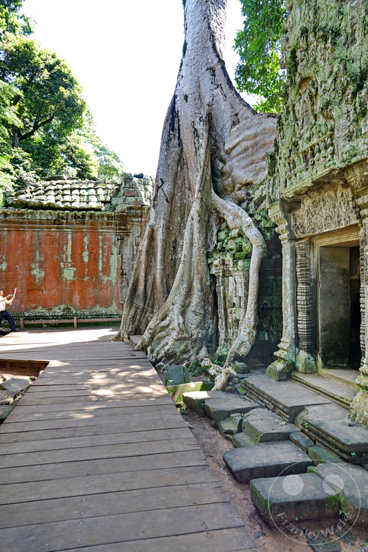Kambodscha - Siem Reap - Ta Prohm Temple