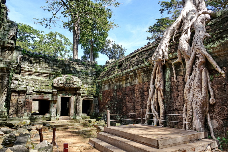 Kambodscha - Siem Reap - Ta Prohm Temple