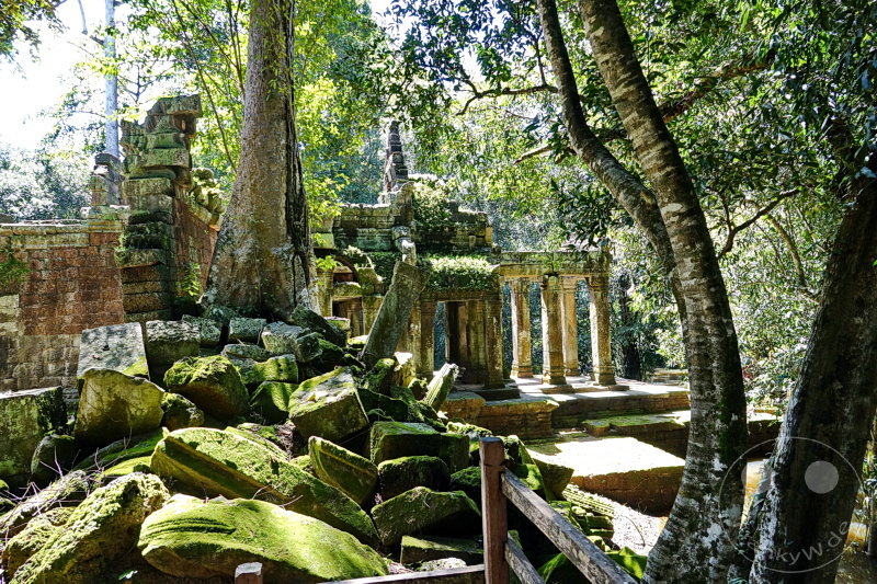 Kambodscha - Siem Reap - Ta Prohm Temple