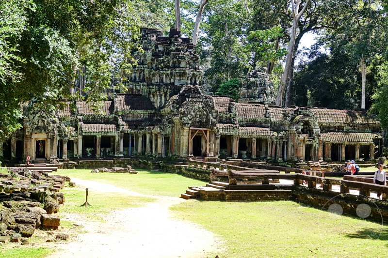 Kambodscha - Siem Reap - Ta Prohm Temple