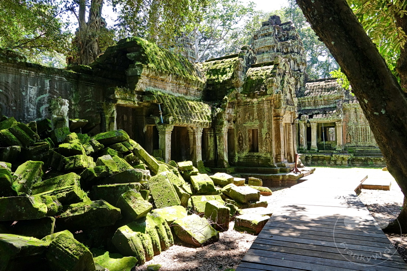 Kambodscha - Siem Reap - Ta Prohm Temple