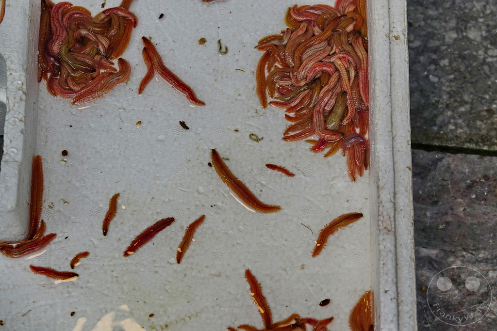 Vietnam - Hanoi - Old Quarter – die Altstadt